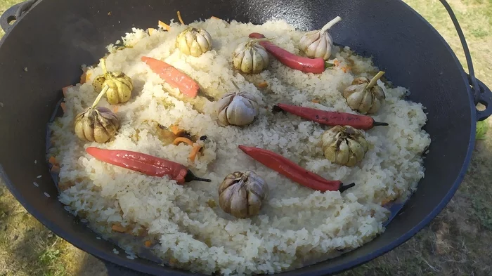 A few photos from yesterday's outing - My, Food, Kazan, Pilaf, Longpost