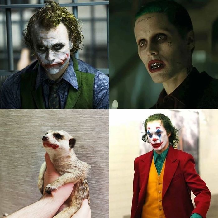 ������� �� ����� - Jocker