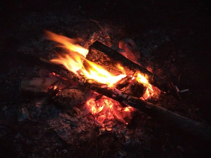 Fire... Nature.. not rated - My, Camping, Photo on sneaker