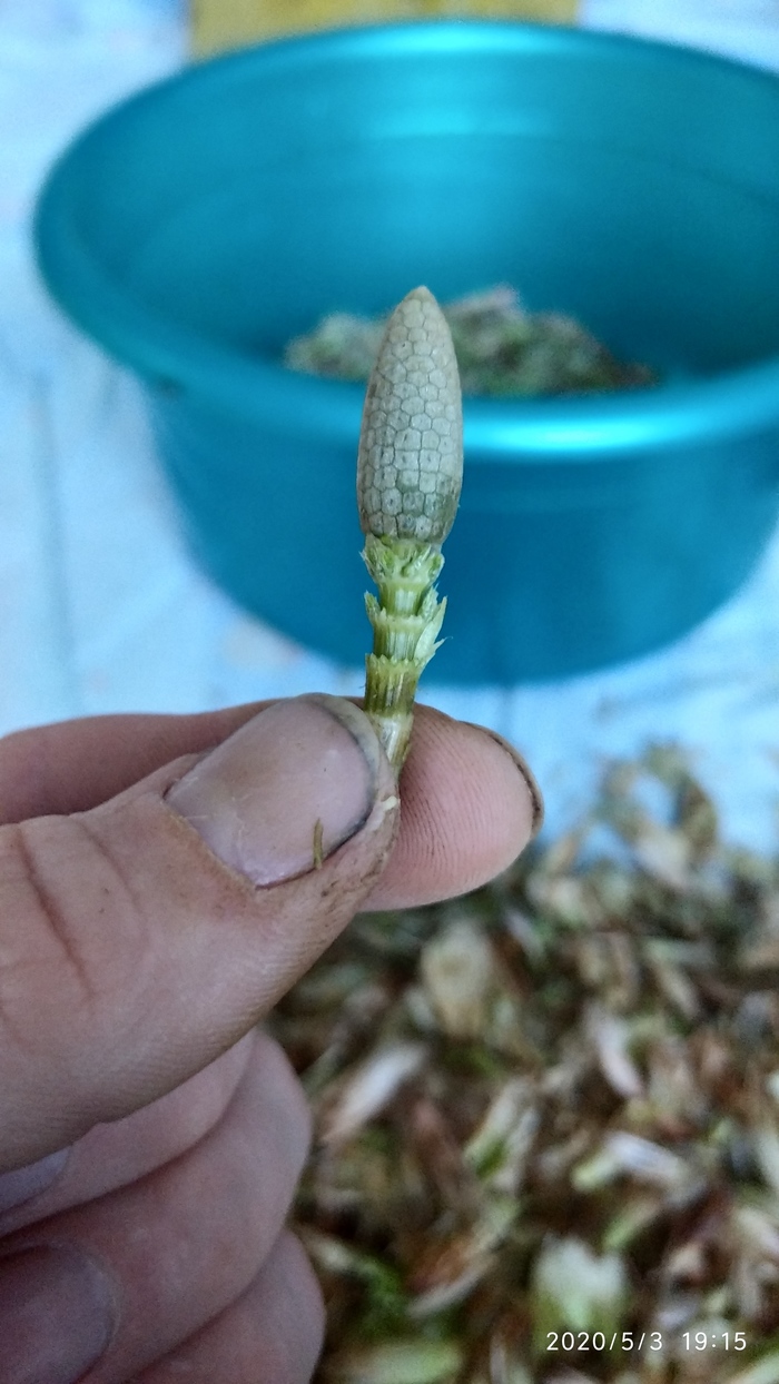 Собирательство