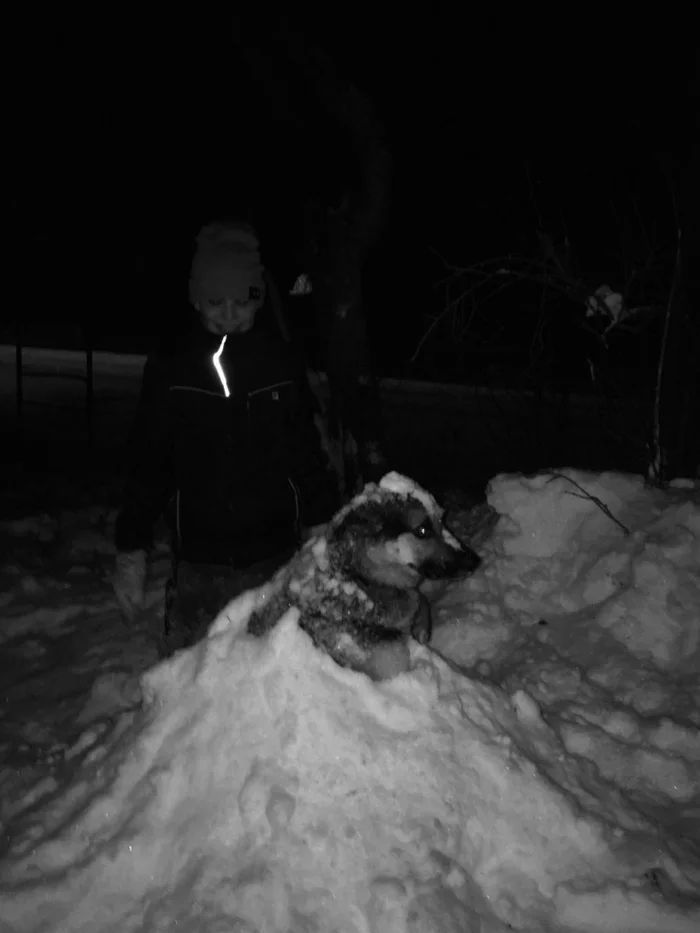 I buried the dog - My, Winter, Buried, Dog