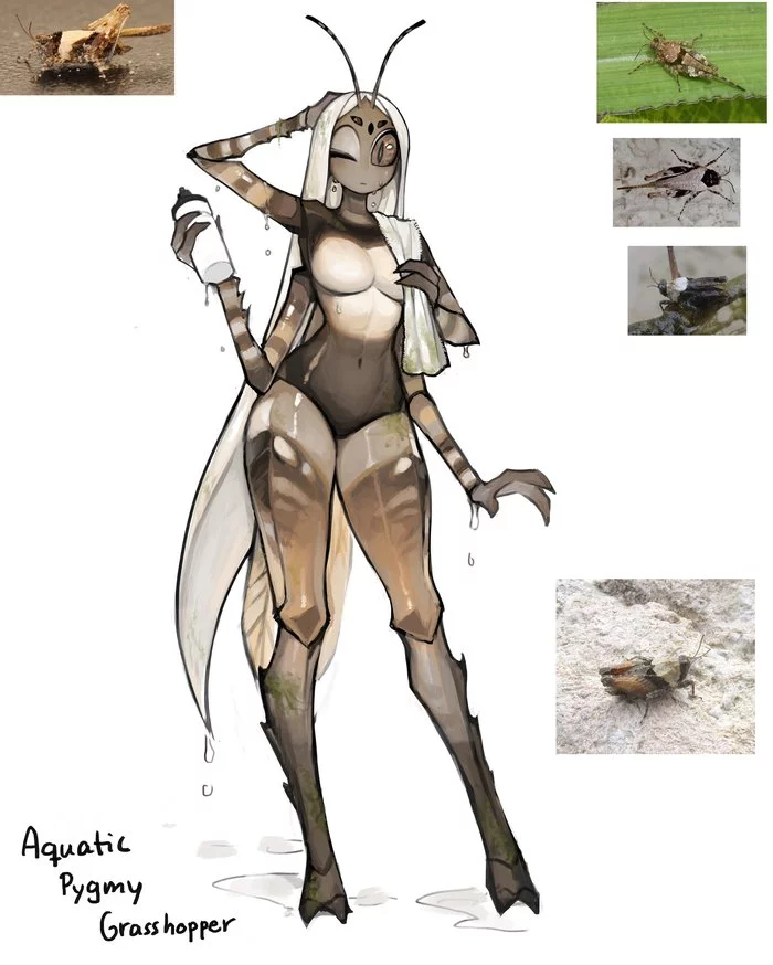 Grasshopper designjust got back from a swim - Matilda Fiship, Кузнечик, Хуманизация, Арт, Monster Girl