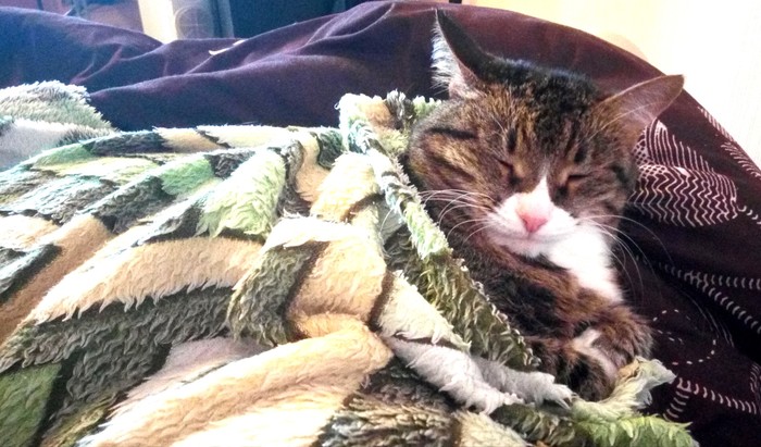 Поцелуй меня в плечо...