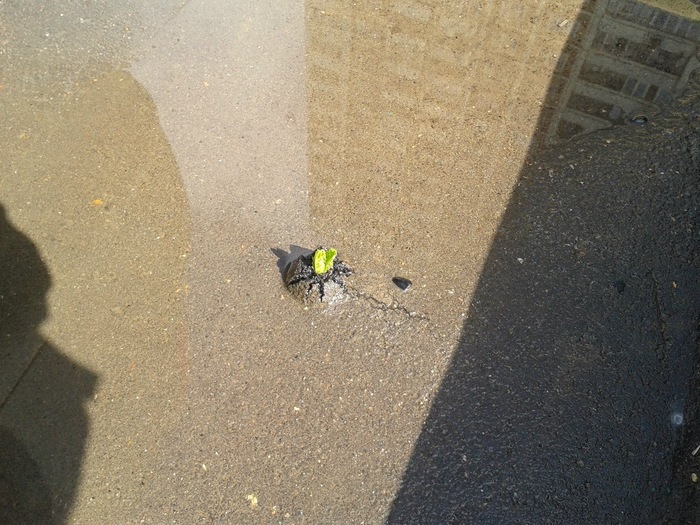 � ����� �� ���� ����� �����