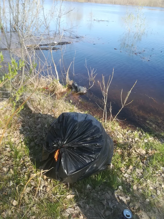 People are not just pigs... There are no words... They collected the garbage, tied it with a St. George ribbon and threw it away - Nature, Pig