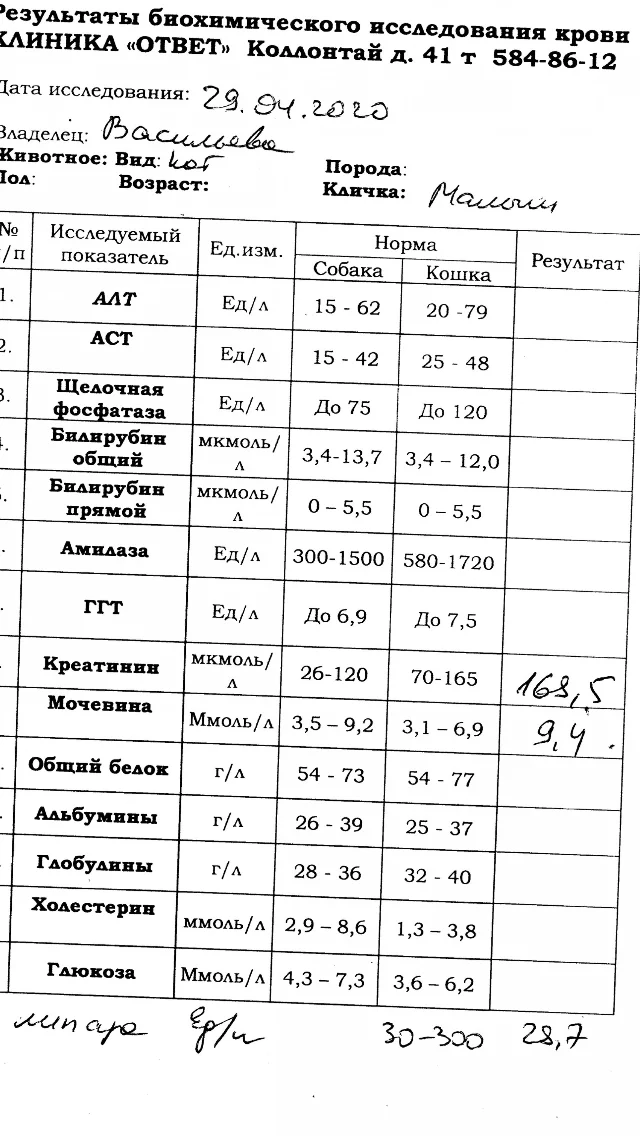 Хпн У кота - Моё, Помощь, Длиннопост, Кот, Ветеринария, ХПН, Анализ крови, Медицинские анализы