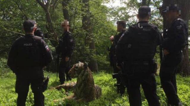 In Britain, police helicopters caught a tiger that turned out to be a statue: epic photo - Humor, Tiger, Laugh, Ludicrous, Police, Great Britain, Sculpture
