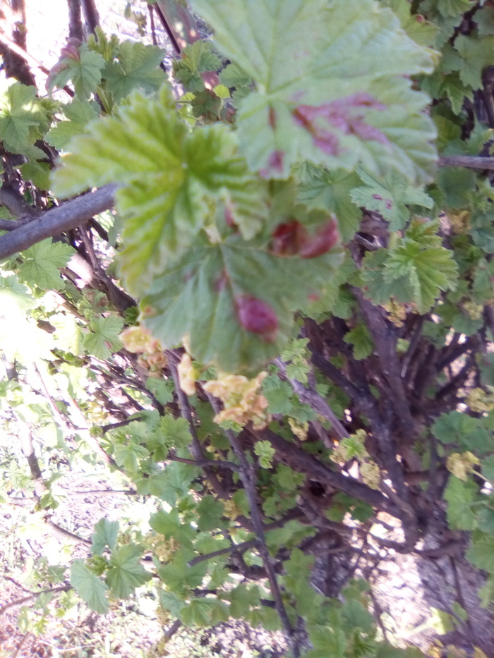 ��� ��� ����� �� ���������?