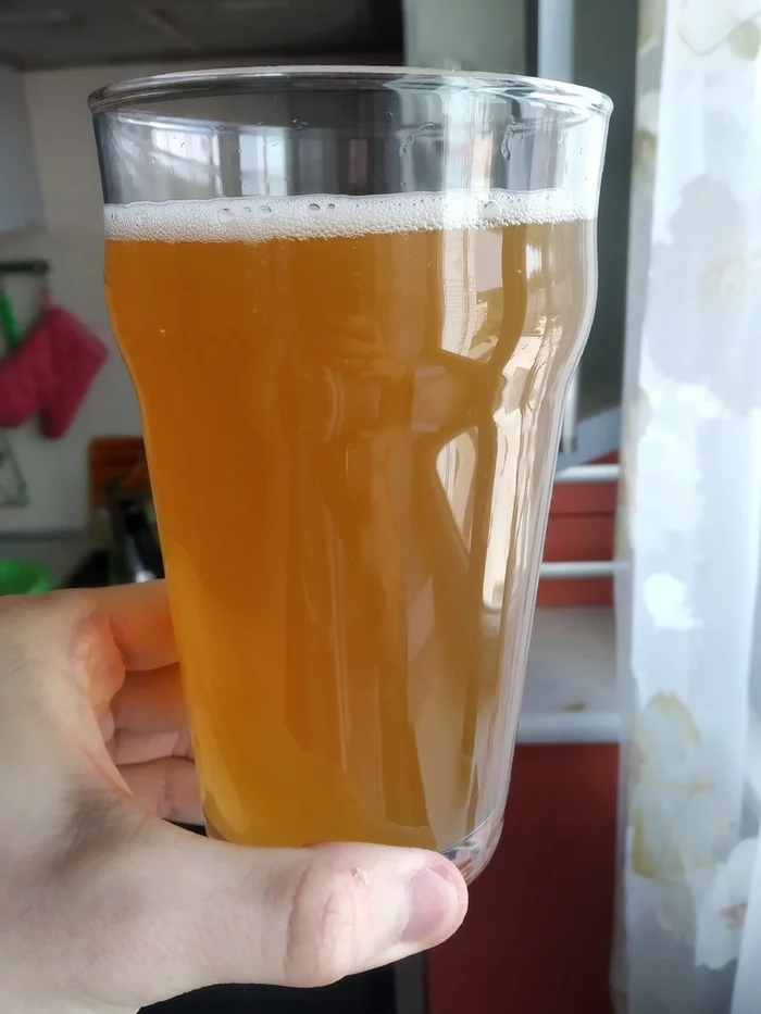Continuation of the post “First experience of brewing beer in a saucepan. Interested in the opinion of experienced people!!!” - Brewing, For beginners, Ale, Beer, Reply to post, Longpost