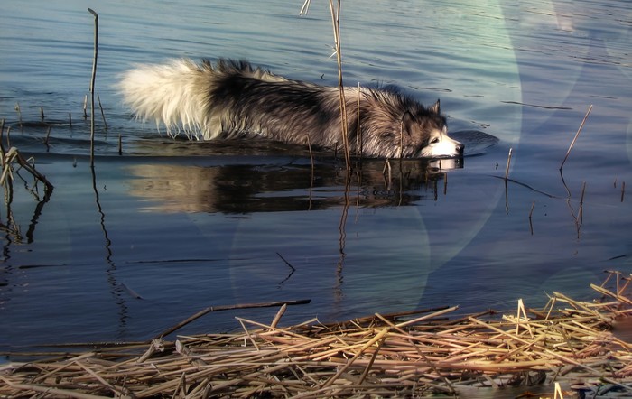 "������� ����� �� ��������"