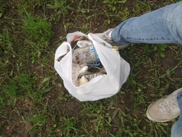 Garbage instead of mushrooms - My, Garbage, Walk, Saturday clean-up, Longpost