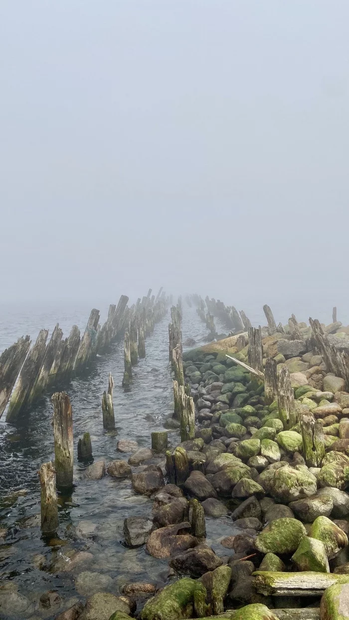 Like - My, Jetty, The pier, The Gulf of Finland, Leningrad region, Nature