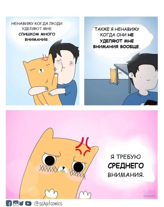 When stupid people don't understand what you need - Comics, Humor, Translation, cat