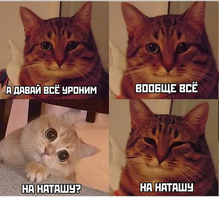 Давай всё уроним