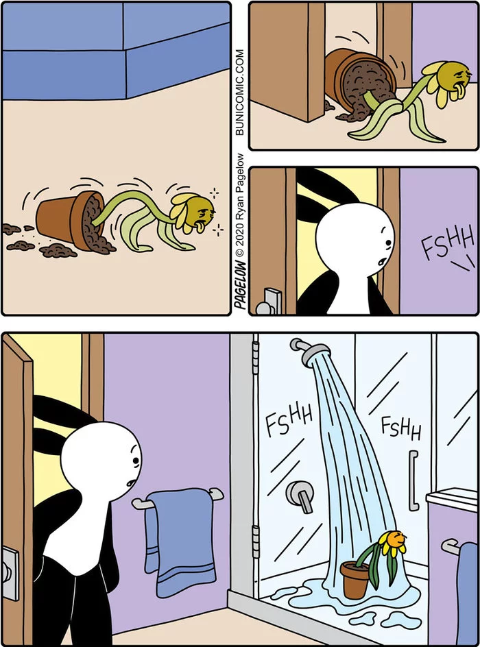 When you forget to water the flowers - Buni, Pagelow, Houseplants, Watering, Withered, Comics