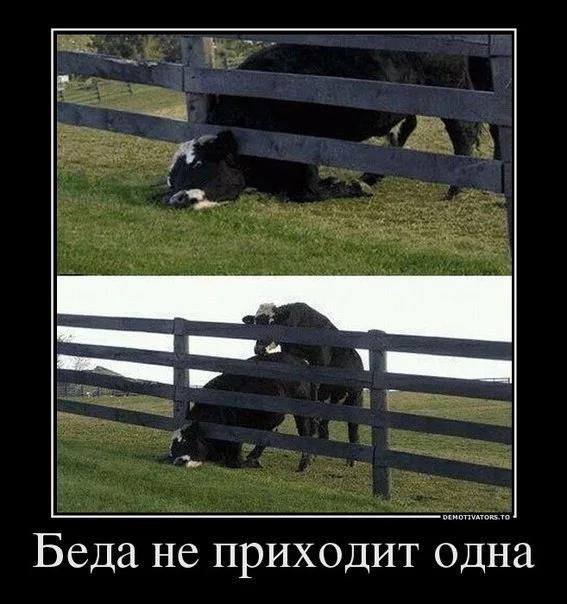 Сказ про Указ Москва, Сергей Собянин, Дичь, Коронавирус, Самоизоляция, Больничный лист, Социалка, Длиннопост