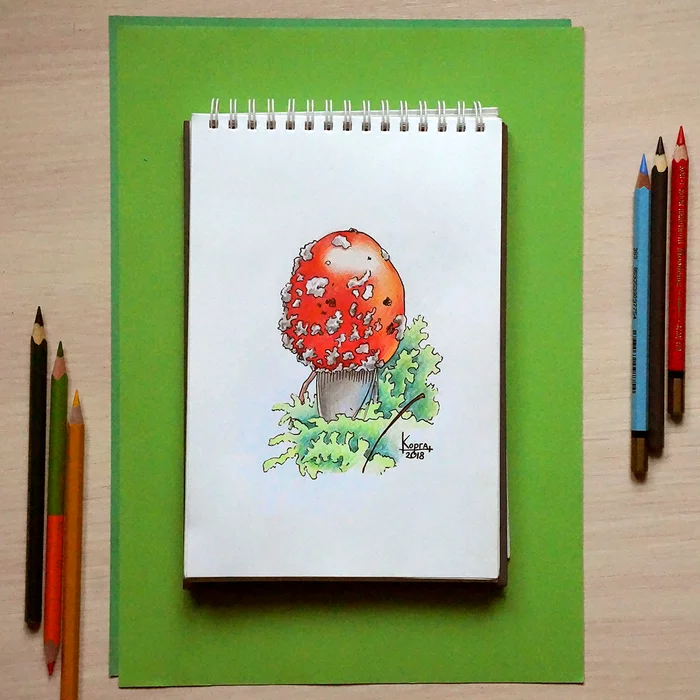 Another mushroom, this time with colored pencils and a capillary pen - My, Mushrooms, Drawing, Graphics, Art, Painting, Artist, Colour pencils, Nature, Longpost