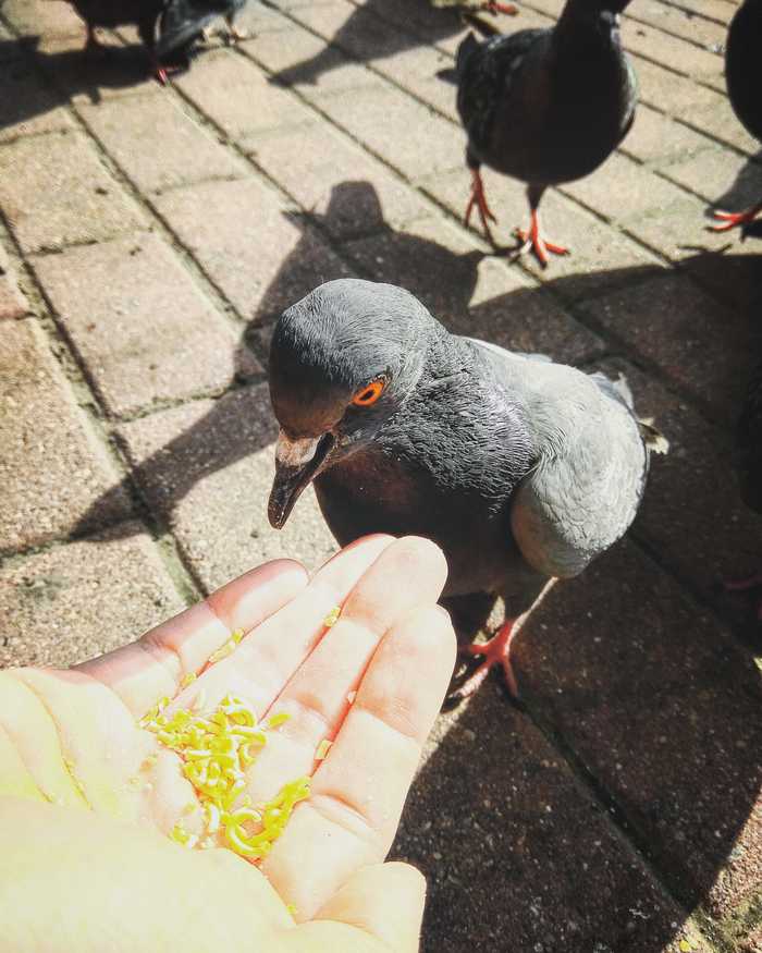 Зарплата за апрель