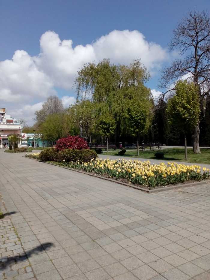 ����� � ������