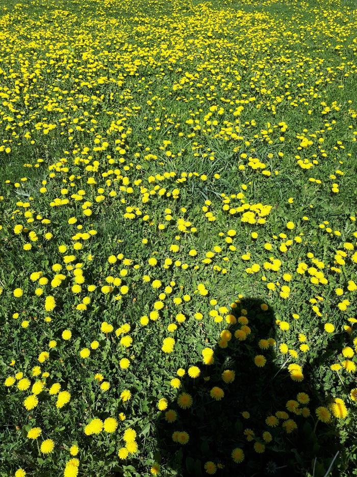 ��� � � ��� ������ �����!