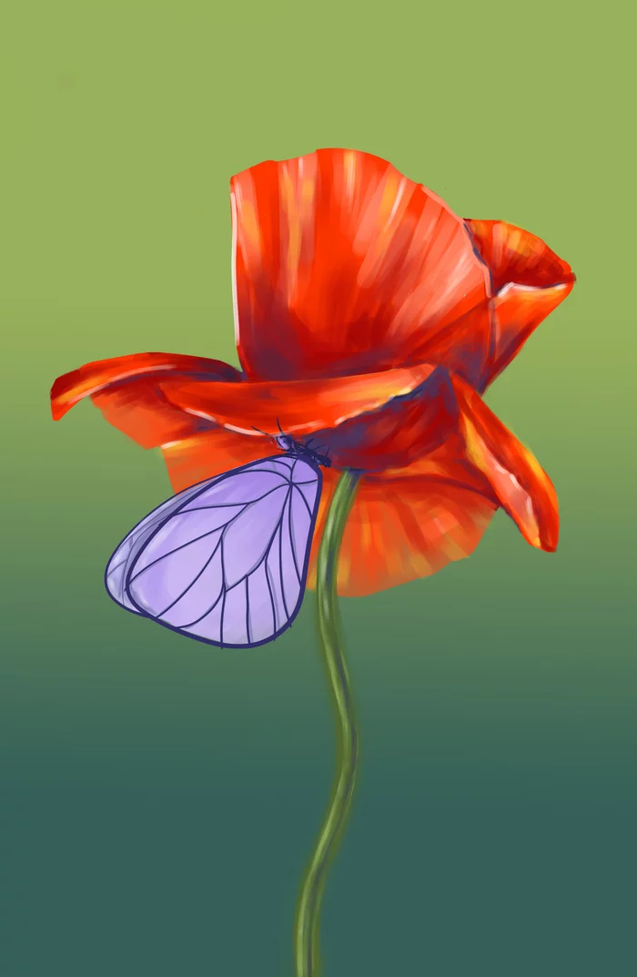 Poppy and butterfly ^_^ - My, Digital drawing, Graphics, Digital, Art, Flowers, Butterfly, Illustrations
