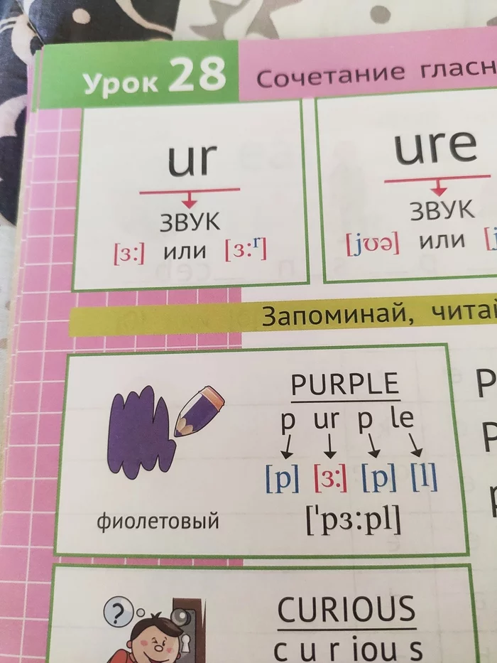 Где блин правда? - Моё, Английский язык, Дистанционное обучение, Ученье - свет