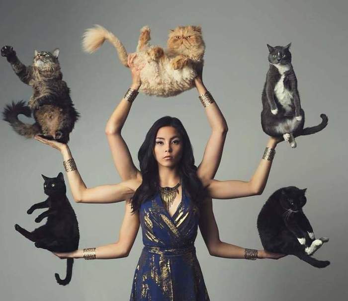 Natasha still got up - cat, Women, Memes, Anna Akana