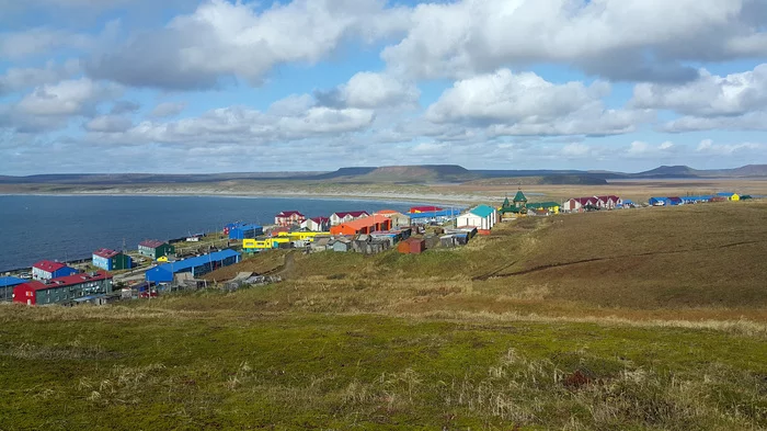 Commander Islands - Beautiful view, Kamchatka, Longpost, Koryaksky Volcano, Avachinsky volcano, Kozelsky Volcano, Travel across Russia, Mushrooms, Nature, The nature of Russia, Commander Islands, My