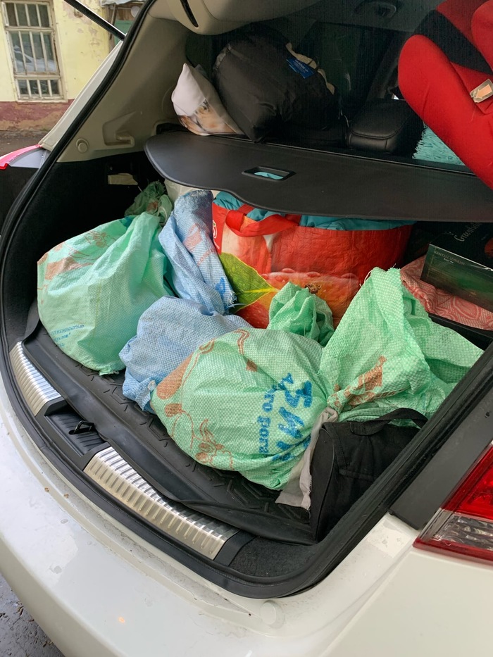 КОТОВ ЗАВЯЗАЛИ В МЕШКИ Кот, В добрые руки, Помощь, Москва, Сила Пикабу, Видео, Длиннопост