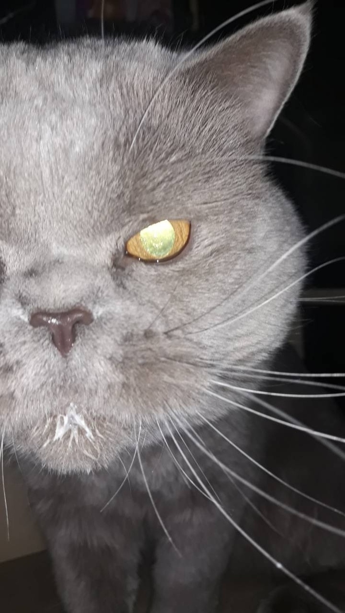 Ты долго живёшь у меня дома