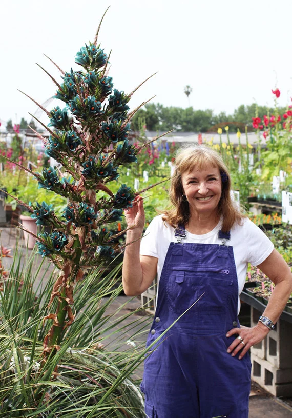 Что это за штука - 93 Перевел сам, Reddit, WhatIsThisThing, Видео, Длиннопост