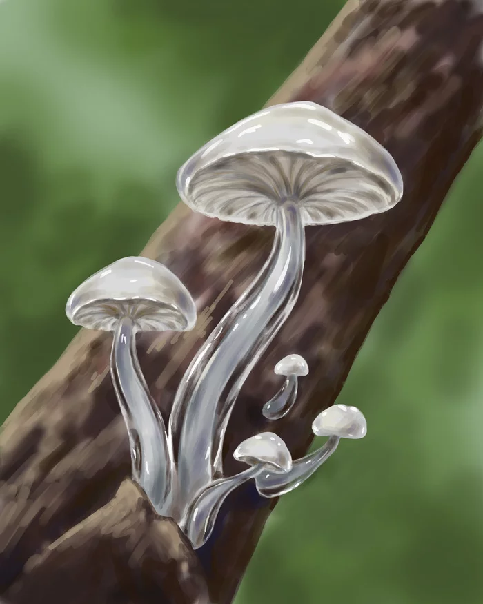 Mushrooms - My, Digital drawing, Graphics, Digital, Art, Mushrooms, Sketch