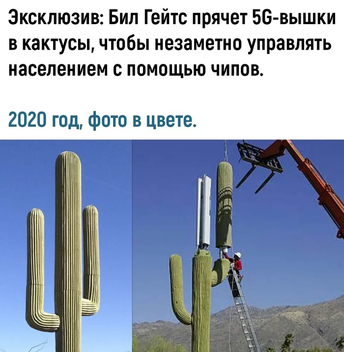 Briefly about how the media works - Cactus, 5g, Disguise, Cell tower, Picture with text