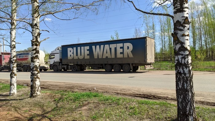 Голубая вода или? - Моё, Трудности перевода, Две женщины орут на кота