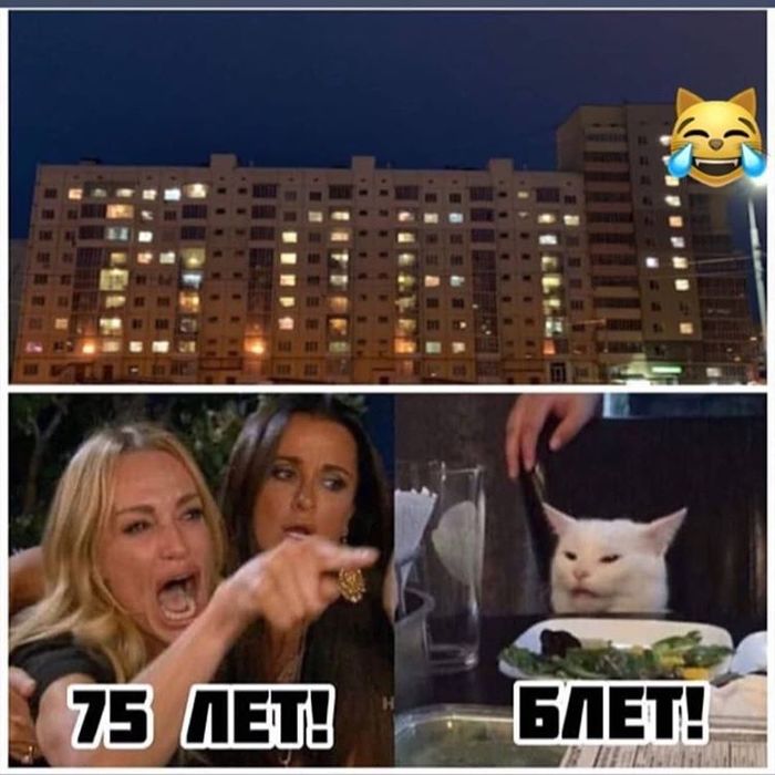 ����������...