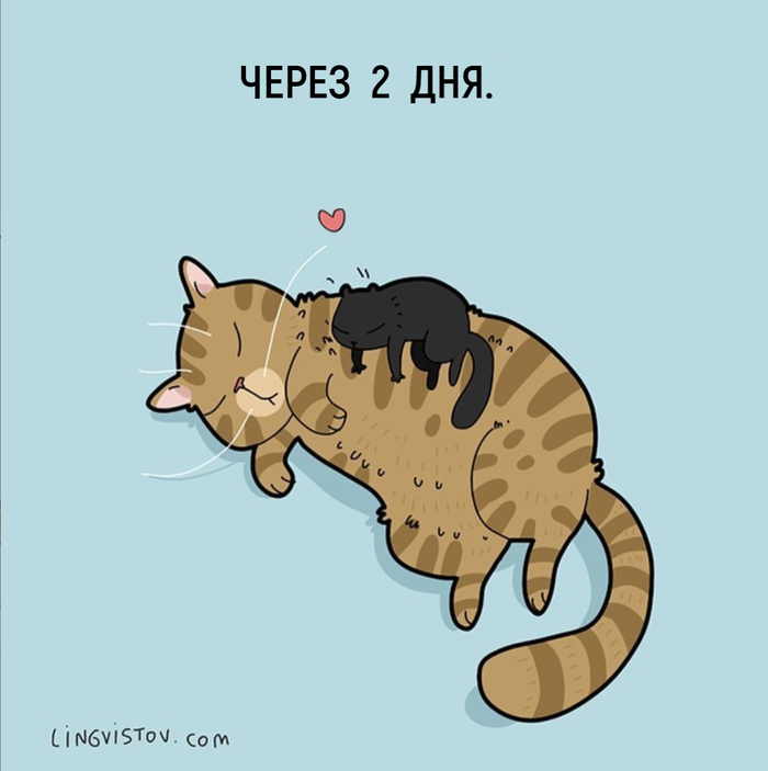   , , , Lingvistov