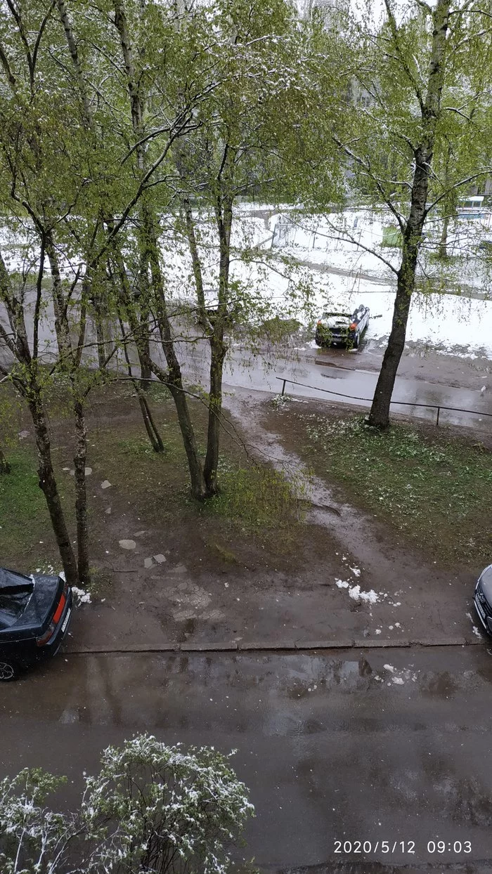 12 May - My, May, Pskov, Weather, Snow