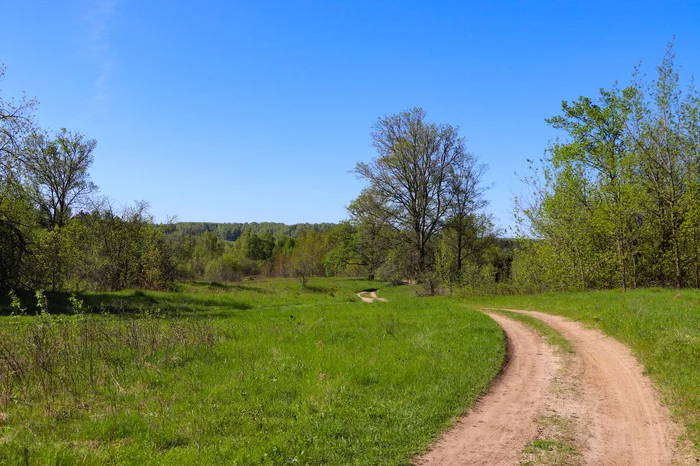 Cycling - My, The photo, A bike, Canon 800D, Nature, Landscape, Dzerzhinsk, Longpost