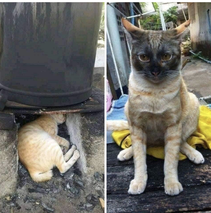    , 