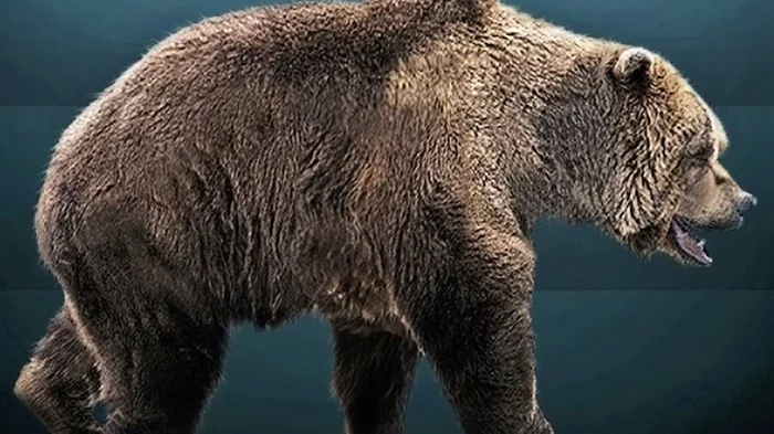 Cave bear - one of the icons of the Ice Age - The Bears, Cave Bear, ice Age, Extinct species, Eurasia, Longpost