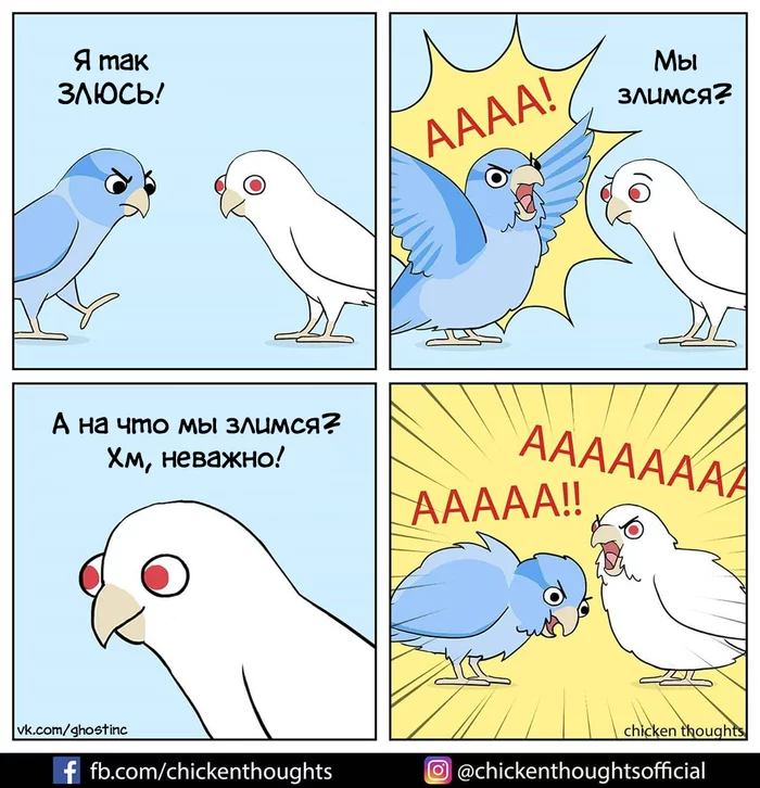 Angry Birds - Comics, Translated by myself, Chicken thoughts