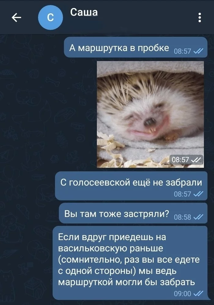 Внимательность :D - Моё, Доброе утро, Скриншот, Переписка, Fail, Длиннопост