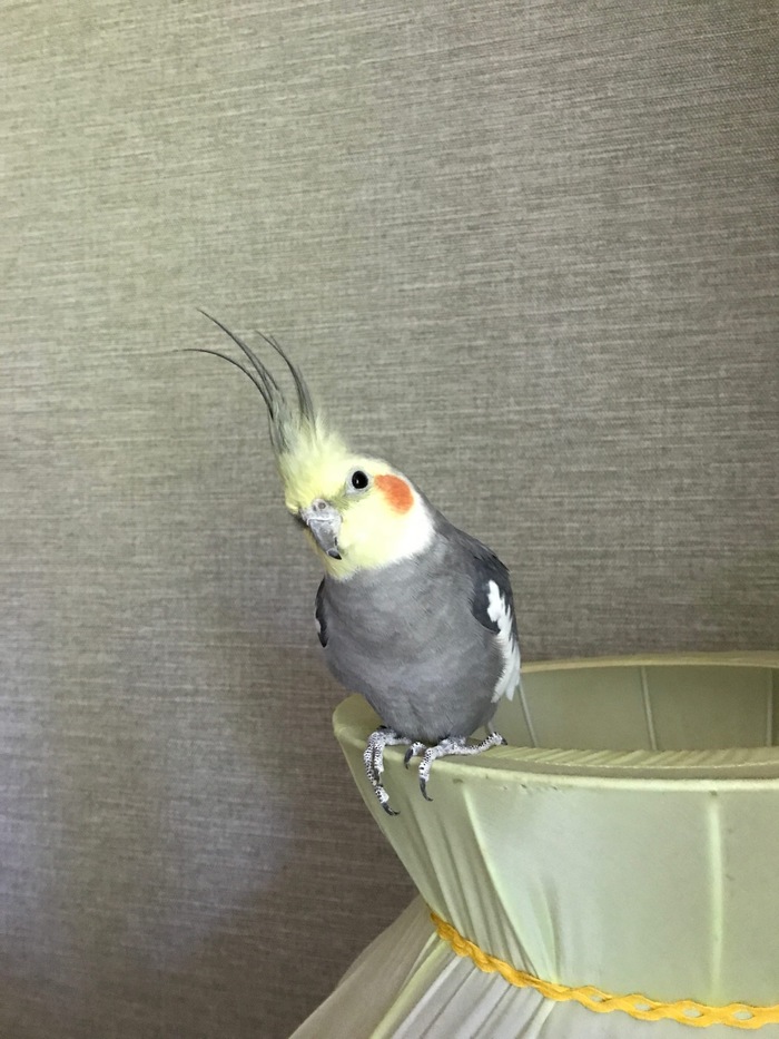    , , ,   
