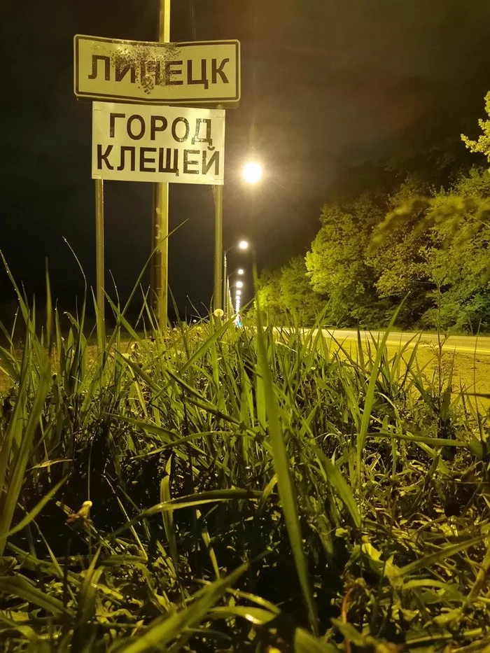 Lipetsk is a city of ticks! - My, Lipetsk, Humor