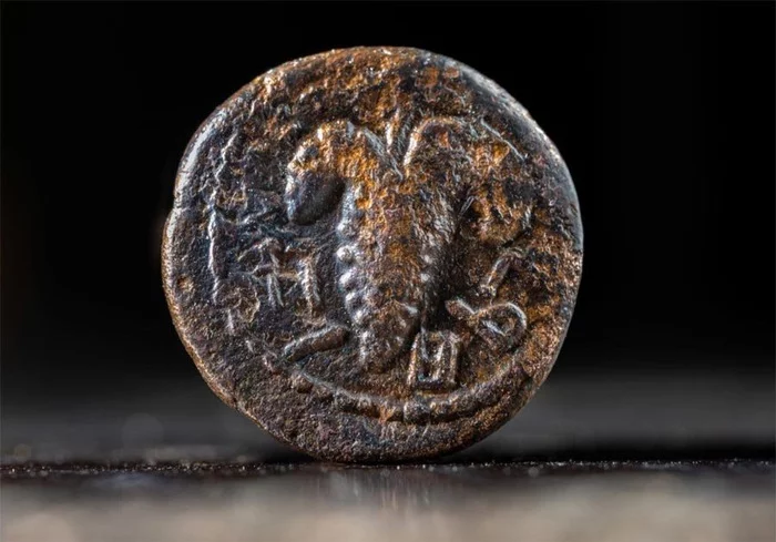 Money of the Messiah A rare coin from the time of the Jewish uprising against Rome was found in Israel. - Archeology, Find, Coin, Israel, The Roman Empire, Story, Ancient world, Longpost