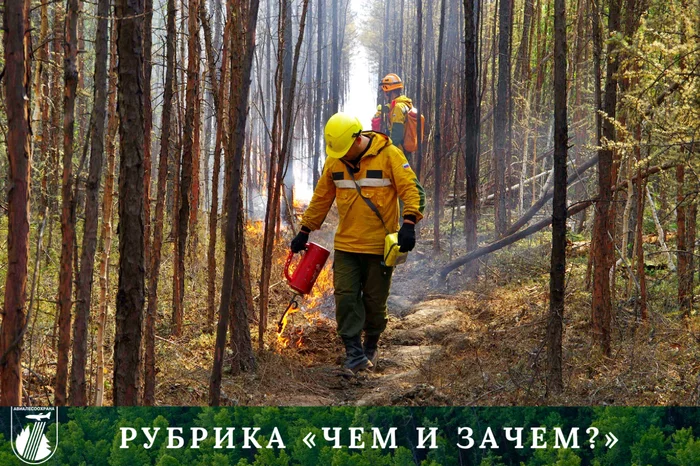 Incendiary apparatus and annealing. - My, Incendiary mixture, , Forest, Firefighters, Fallen Grass, Forest fires, The nature of Russia, Burns