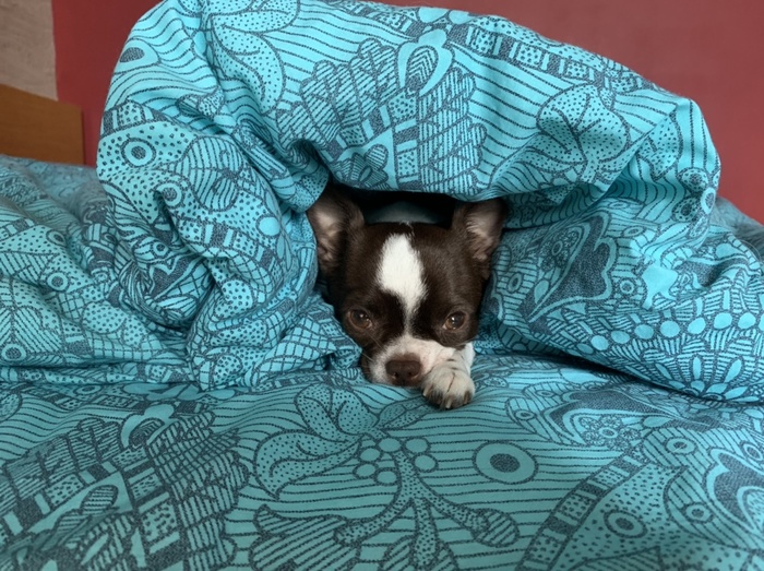 Когда на улице +10 и отключили отопление