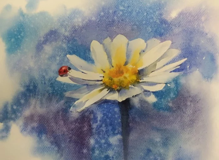 Chamomile - My, Watercolor, Painting, Friday tag is mine