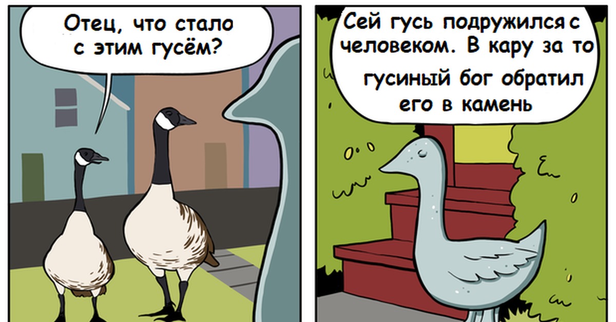 Я гусь куплинов фразы. Гусь смотрит в окно. Я гусь. Я гусь мне до балды. Я гусь и я сьебусь.