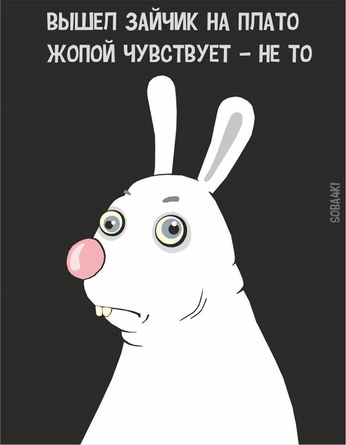 The bunny came out onto the plateau... - Soba4ki, Coronavirus, Plateau, Russia, Promise, Picture with text